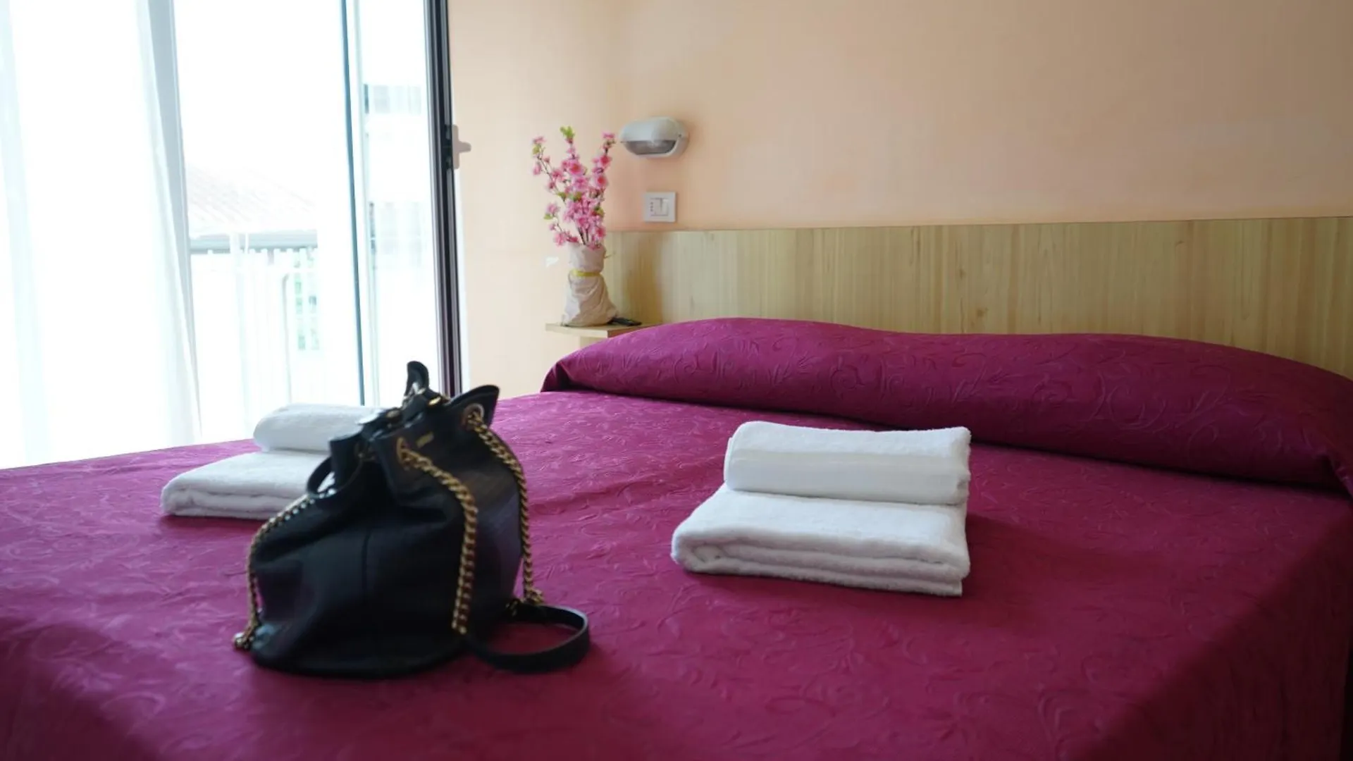 Hotel Malibu Mare Rimini